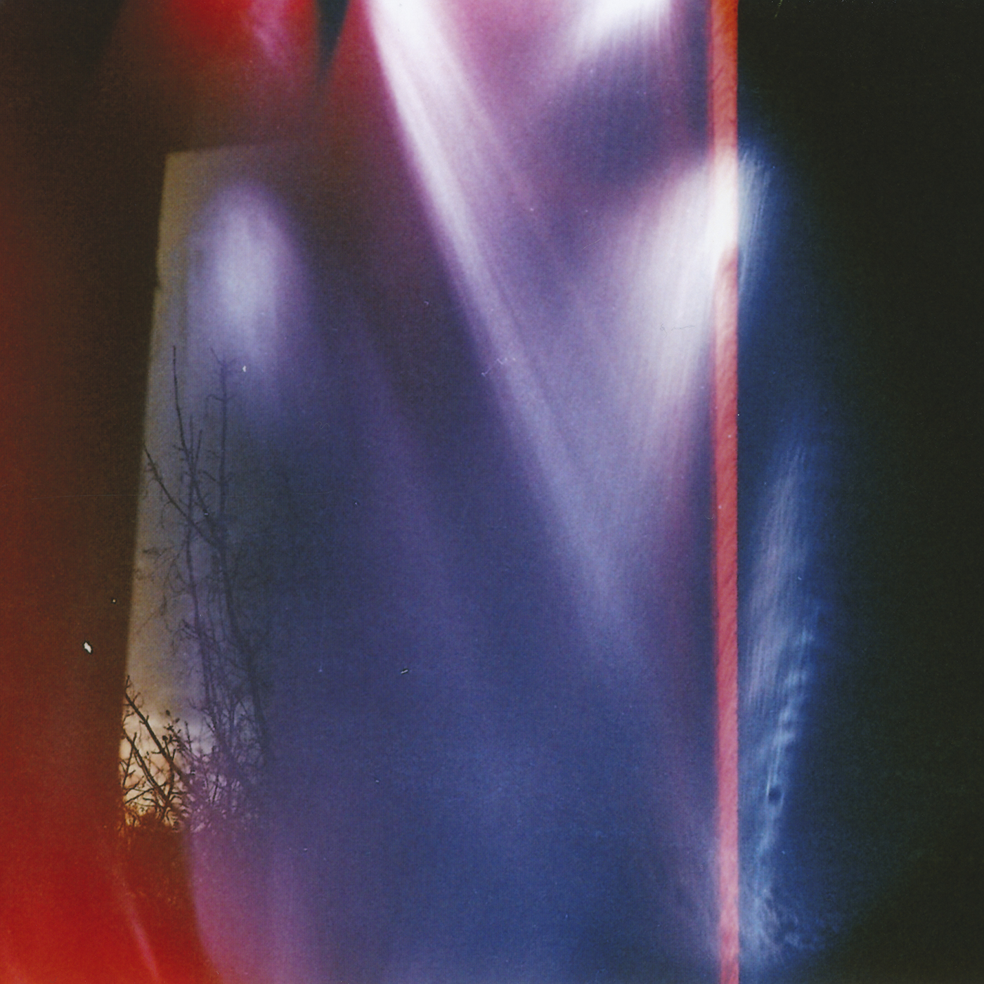 FIRS - Plade cover - Showet For Evigt